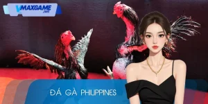 đá gà philippines