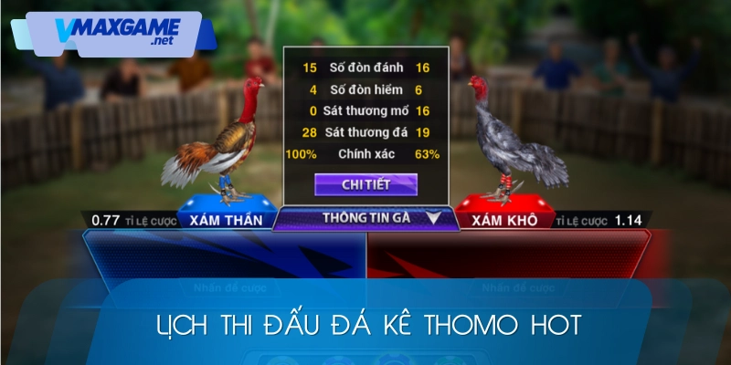 đá gà thomo lịch thi đấu