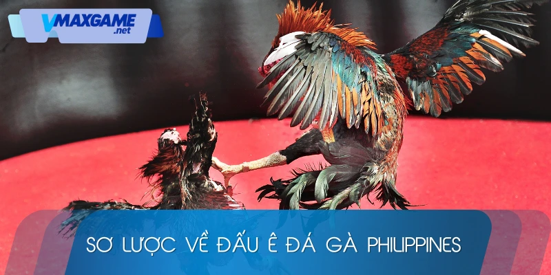 sơ lược về đá gà philippines