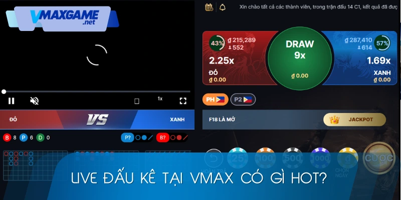 trực tiếp đá gà có gì