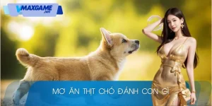 mơ ăn thịt chó đánh con gì