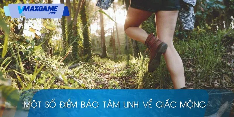 mơ đi lạc đường đánh con gì điềm báo